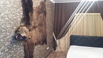 Фото Сливки